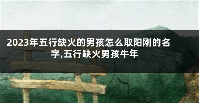 2023年五行缺火的男孩怎么取阳刚的名字,五行缺火男孩牛年