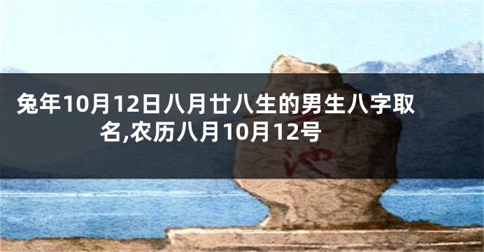 兔年10月12日八月廿八生的男生八字取名,农历八月10月12号
