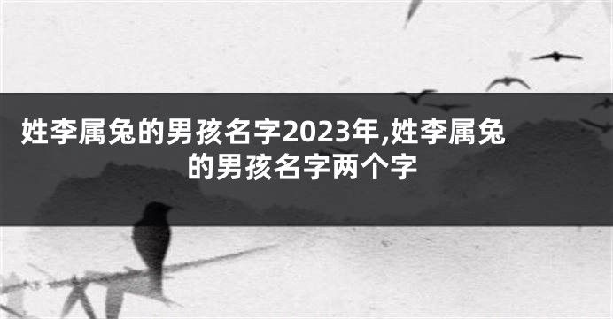 姓李属兔的男孩名字2023年,姓李属兔的男孩名字两个字