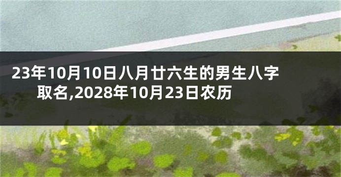 23年10月10日八月廿六生的男生八字取名,2028年10月23日农历
