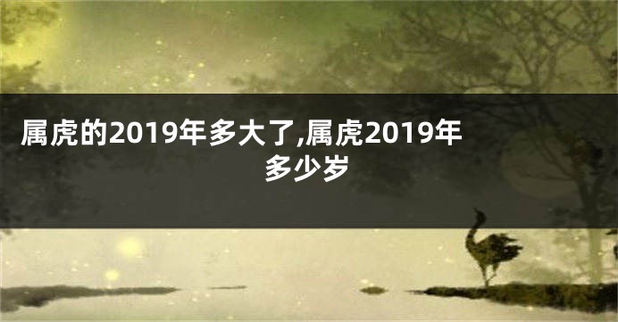 属虎的2019年多大了,属虎2019年多少岁