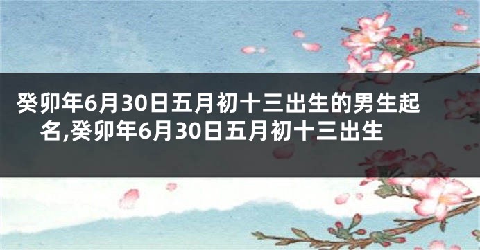 癸卯年6月30日五月初十三出生的男生起名,癸卯年6月30日五月初十三出生