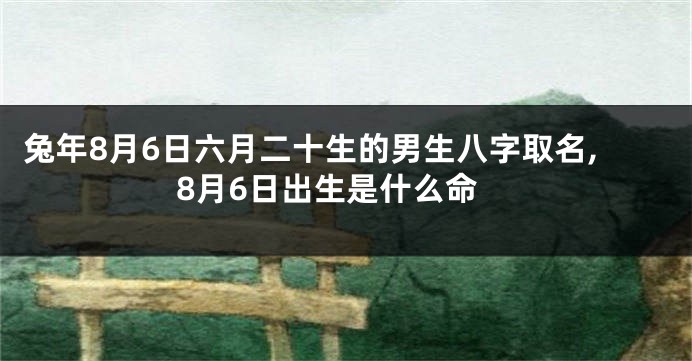 兔年8月6日六月二十生的男生八字取名,8月6日出生是什么命