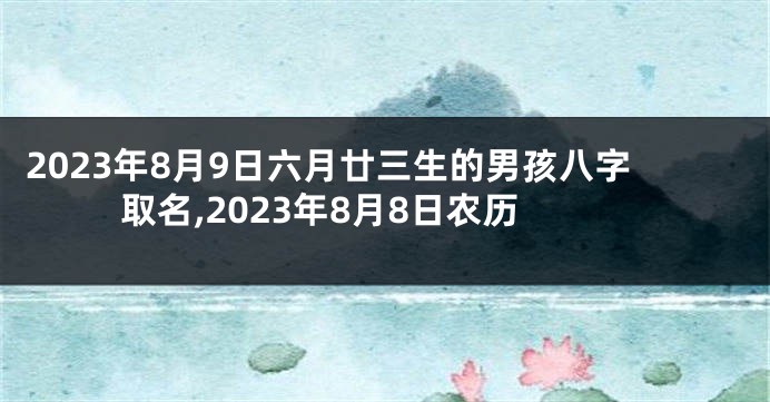 2023年8月9日六月廿三生的男孩八字取名,2023年8月8日农历