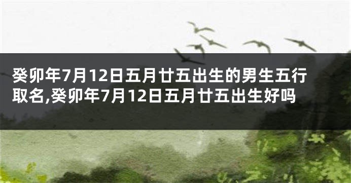 癸卯年7月12日五月廿五出生的男生五行取名,癸卯年7月12日五月廿五出生好吗