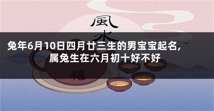 兔年6月10日四月廿三生的男宝宝起名,属兔生在六月初十好不好