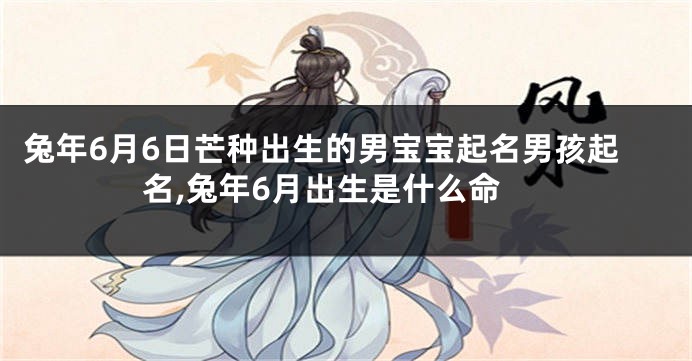 兔年6月6日芒种出生的男宝宝起名男孩起名,兔年6月出生是什么命