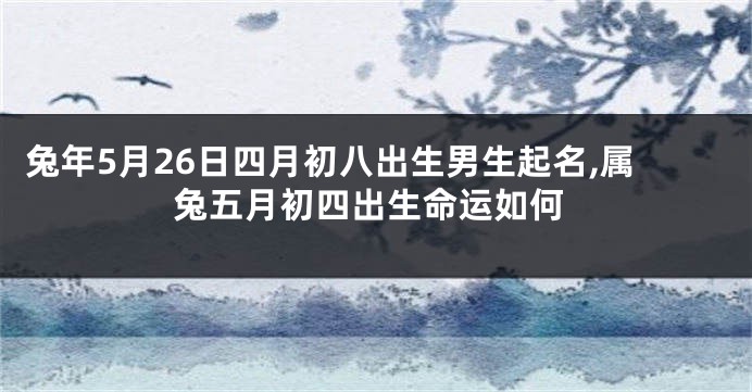 兔年5月26日四月初八出生男生起名,属兔五月初四出生命运如何