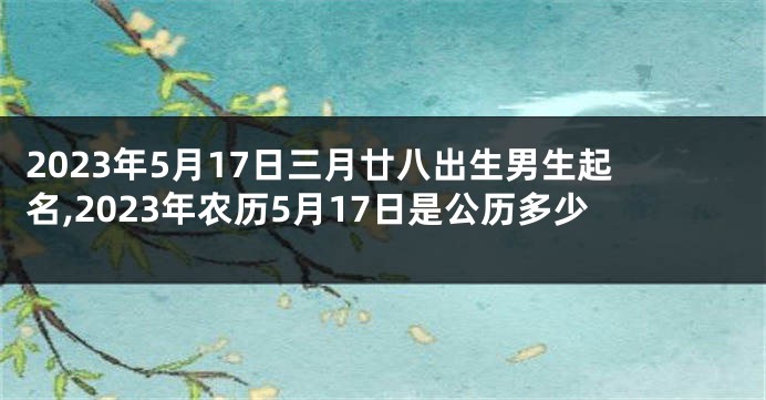 2023年5月17日三月廿八出生男生起名,2023年农历5月17日是公历多少