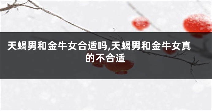 天蝎男和金牛女合适吗,天蝎男和金牛女真的不合适