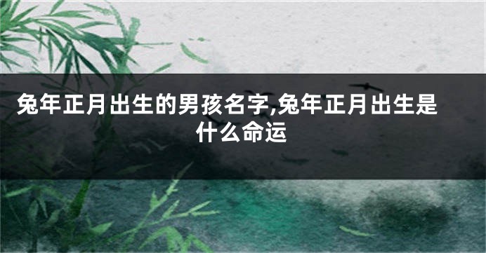 兔年正月出生的男孩名字,兔年正月出生是什么命运