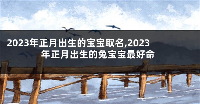 2023年正月出生的宝宝取名,2023年正月出生的兔宝宝最好命