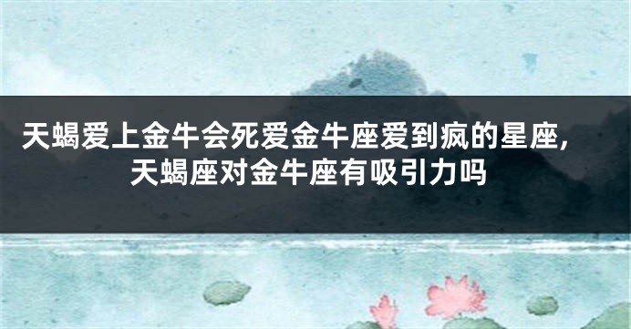 天蝎爱上金牛会死爱金牛座爱到疯的星座,天蝎座对金牛座有吸引力吗