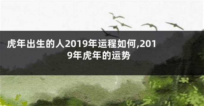 虎年出生的人2019年运程如何,2019年虎年的运势