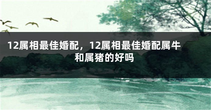 12属相最佳婚配,12属相最佳婚配属牛和属猪的好吗