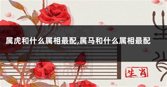 属虎和什么属相最配,属马和什么属相最配