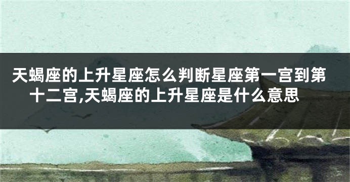 天蝎座的上升星座怎么判断星座第一宫到第十二宫,天蝎座的上升星座是什么意思