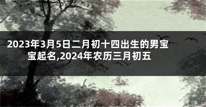 2023年3月5日二月初十四出生的男宝宝起名,2024年农历三月初五