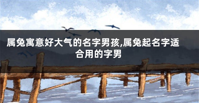 属兔寓意好大气的名字男孩,属兔起名字适合用的字男