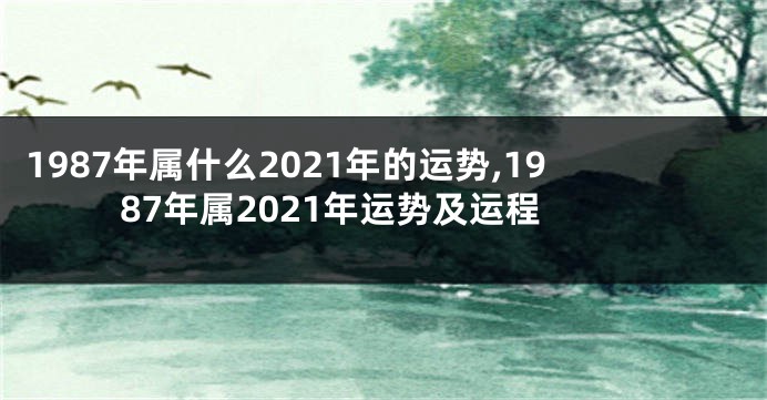 1987年属什么2021年的运势,1987年属2021年运势及运程