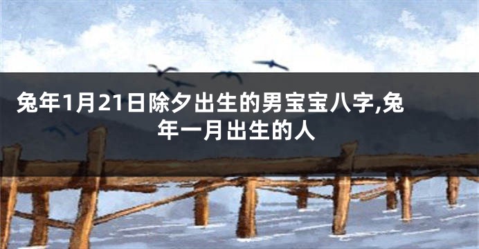 兔年1月21日除夕出生的男宝宝八字,兔年一月出生的人