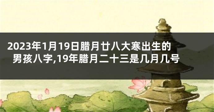 2023年1月19日腊月廿八大寒出生的男孩八字,19年腊月二十三是几月几号