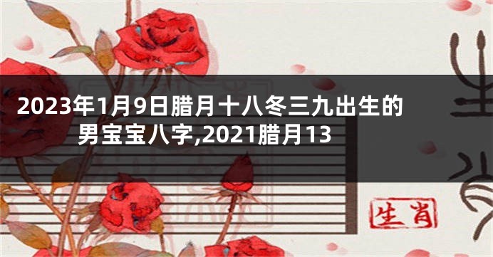 2023年1月9日腊月十八冬三九出生的男宝宝八字,2021腊月13