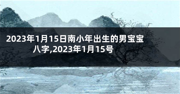 2023年1月15日南小年出生的男宝宝八字,2023年1月15号