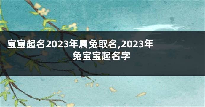 宝宝起名2023年属兔取名,2023年兔宝宝起名字