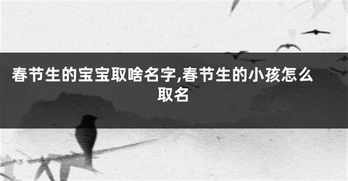 春节生的宝宝取啥名字,春节生的小孩怎么取名