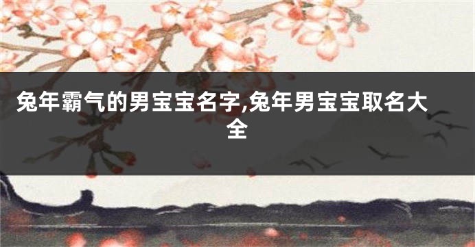 兔年霸气的男宝宝名字,兔年男宝宝取名大全