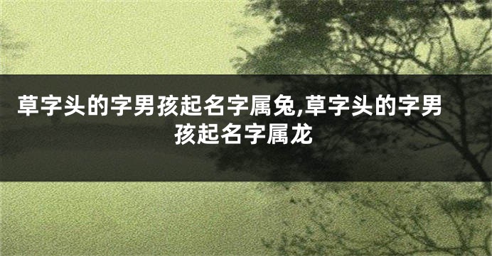 草字头的字男孩起名字属兔,草字头的字男孩起名字属龙