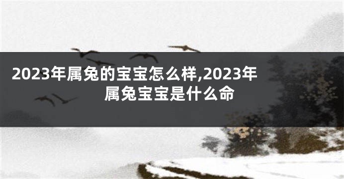 2023年属兔的宝宝怎么样,2023年属兔宝宝是什么命