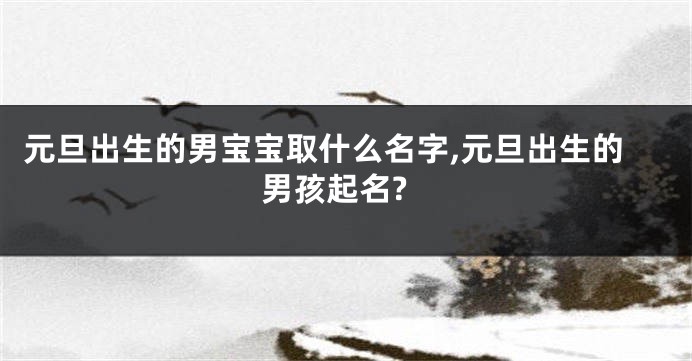 元旦出生的男宝宝取什么名字,元旦出生的男孩起名?