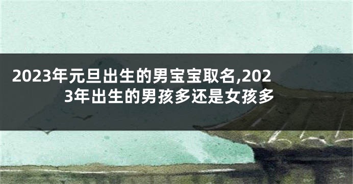 2023年元旦出生的男宝宝取名,2023年出生的男孩多还是女孩多