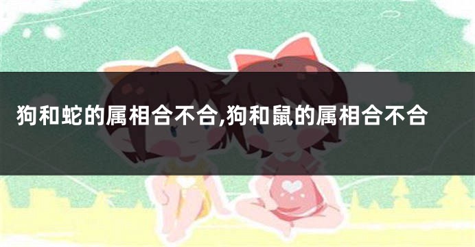 狗和蛇的属相合不合,狗和鼠的属相合不合