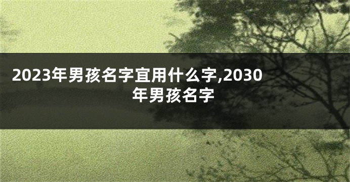 2023年男孩名字宜用什么字,2030年男孩名字