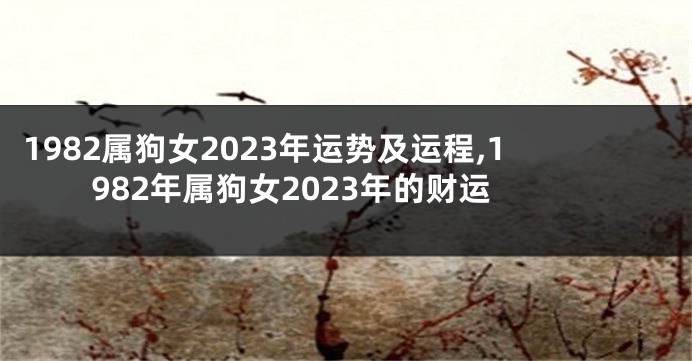 1982属狗女2023年运势及运程,1982年属狗女2023年的财运