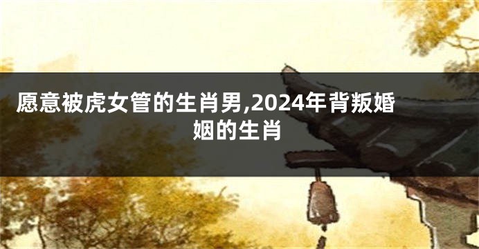 愿意被虎女管的生肖男,2024年背叛婚姻的生肖