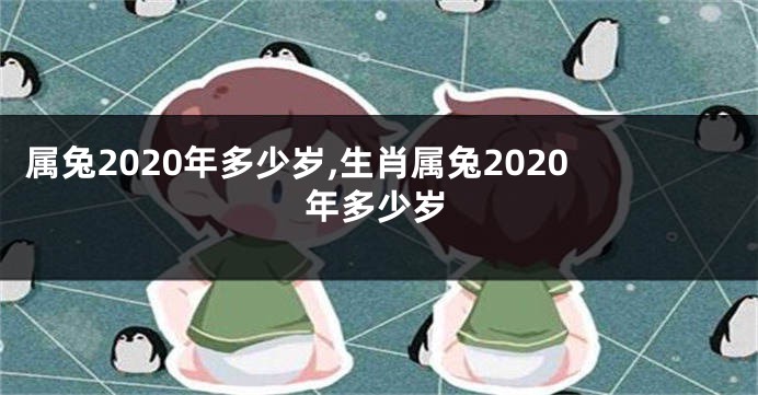 属兔2020年多少岁,生肖属兔2020年多少岁