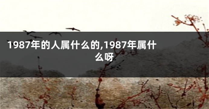 1987年的人属什么的,1987年属什么呀