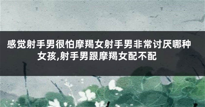 感觉射手男很怕摩羯女射手男非常讨厌哪种女孩,射手男跟摩羯女配不配
