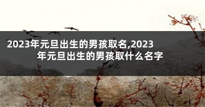 2023年元旦出生的男孩取名,2023年元旦出生的男孩取什么名字