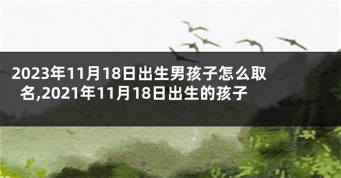 2023年11月18日出生男孩子怎么取名,2021年11月18日出生的孩子