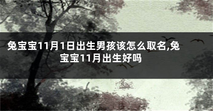 兔宝宝11月1日出生男孩该怎么取名,兔宝宝11月出生好吗