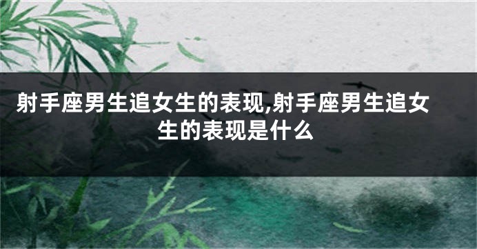 射手座男生追女生的表现,射手座男生追女生的表现是什么