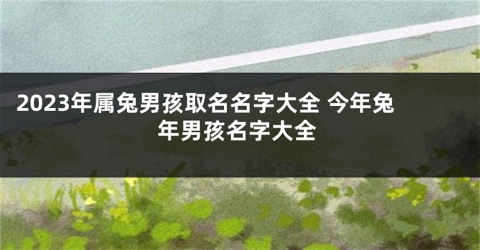 2023年属兔男孩取名名字大全 今年兔年男孩名字大全