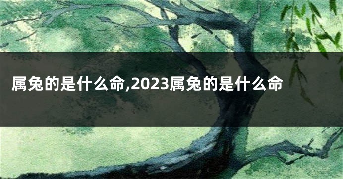 属兔的是什么命,2023属兔的是什么命