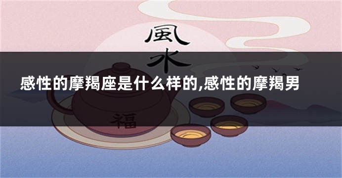 感性的摩羯座是什么样的,感性的摩羯男