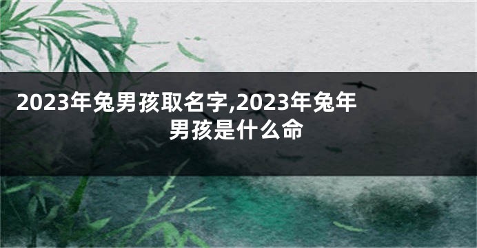2023年兔男孩取名字,2023年兔年男孩是什么命